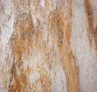 Silver Sunset Slate